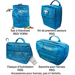 Kurgo Harnais de Sécurité pour Chien, Canicross Compatible Molle Urbain RSG, ajustable, ouvre-bouteille intégré, bandes réfléchissantes, Style Townie, Bleu, Taille S