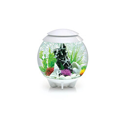 Aquarium décoratif 30l blanc - Halo 30 MCR white - OASE