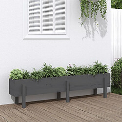 Maison Chic Jardinière,Lit surélevé de jardin - Bac à fleurs - pot de fleur gris 160x30x38 cm bois de pin massif -GKD62759