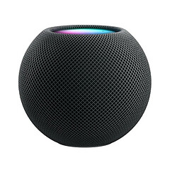 Altavoz inteligente Apple HomePod Mini gris espacial