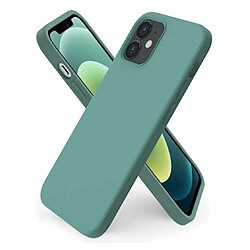 Riffi Riff Slim & Soft Silicone Soft Back Cover Case pour Apple iPhone 11 Pro Pin Vert 