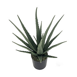 Plante décorative Alexandra House Living Plastique Aloe Vera 11 x 11 x 39 cm