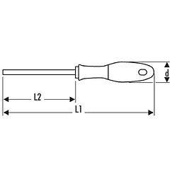 Tournevis 1000V PH0 X 75 mm EXPERT E165414