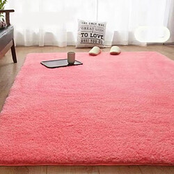 LUUCOZK Tapis moelleux en fausse fourrure, tapis à poils longs pour chambre à coucher, salon, rose-60x90cm