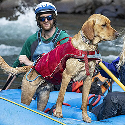 Avis Kurgo Gilet de sauvetage aquatique Surf n ?Turf pour chien, Veste de sécurité gonflable pour chiens, pour toutes les activités nautiques, Réfléchissant, Réglable, rouge, Taille S