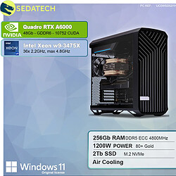 Sedatech Workstation Pro • Intel Xeon-3475X • RTX A6000 • 256 Go RAM • 2To SSD M.2 • Windows 11 Pro