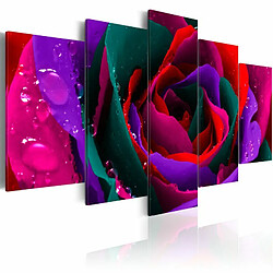 Paris Prix Tableau Imprimé Multicoloured Rose 100 x 200 cm