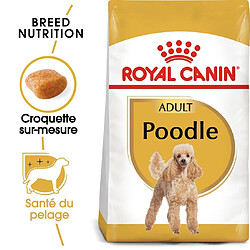 Royal Canin Race Poodle - Caniche Adult