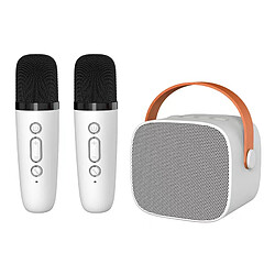 Brand 0 Double Microphone Haut-Parleur Bluetooth sans Fil Mini Microphone Portable Haut-Parleur Bluetooth Blanc Haut-Parleur sans Fil