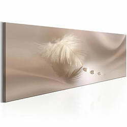 Paris Prix Tableau Imprimé Delicate Feather 45 x 135 cm 