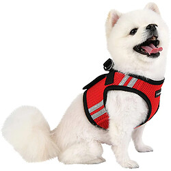 Avis Puppia Harnais pour Chien Soft Vest Harness Pro