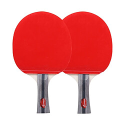 Wewoo REGAIL 8020 2 en 1 Poignée Longue Shakehand Ping Pong Raquette + Ball Set pour la Formation 