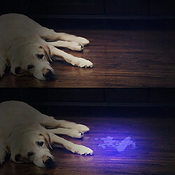 BESTA Lampe torche à lumière noire UV avec 51 LED, détecteur d'urine pour animaux de compagnie pour les taches séchées de vos chiens, chats et rongeurs sur les tapis, rideaux, meubles 