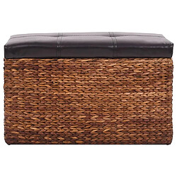 Acheter vidaXL Banc avec 2 poufs Jacinthe d'eau Marron et noir