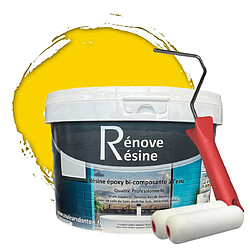 Pok Peinture Résine multisupport Intérieur 0,5L