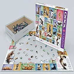 Avis Eurographics Yoga cats Puzzle 1000 piAces