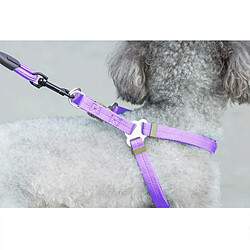 Wewoo Pour chien + Harnais + Violet Laisse Trois ensembles, L, Taille de la poitrine: 57-90cm, Col du col: 40-64cm, Poids de l'animal: 35kg Ci-dessous Collier pas cher