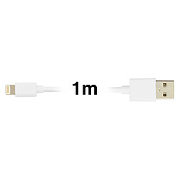 Avis Câble 1m USB Compatible iPhone iPad iPod 2.1A Inkax Charge