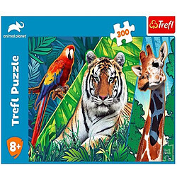 Avis Trefl- für Kinder 7 Jahren Puzzle de 300 pièces, 23007, coloré