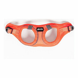 Avis Harnais pour Chien Gloria Air Mesh Trek Star Réglable Orange L (33,4-35 cm)