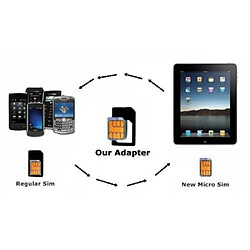 Yonis Adaptateur Micro SIM