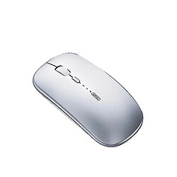 Universal Souris sans fil rechargeable Bluetooth et 2,4 GHz (gris)