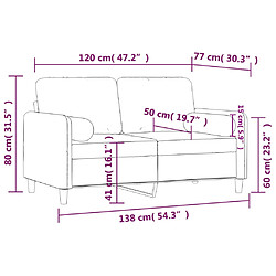 vidaXL Canapé 2 places avec oreillers décoratifs noir 120 cm velours pas cher