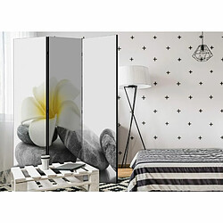 Paris Prix Paravent 3 Volets White Lotus 135x172cm