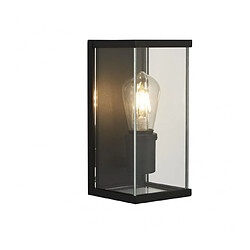 Searchlight Lanterne de jardin Bakerloo 1 ampoule Verre,moulage Aluminium en métal Noir,Transparent