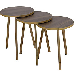 Jeu de 3 tables Alexandra House Living Marron Doré Bois 