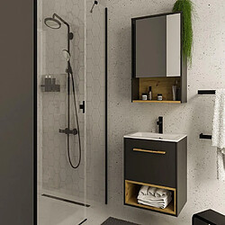 Acheter Vente-Unique Armoire murale de salle de bain anthracite - 60 cm - YANGRA