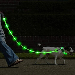 Acheter Universal USB rechargeable LED Collier pour chien Laisse pour animal de compagnie Réglable pour animal de compagnie Corde de traction lumineuse Cadre de roulement Lampe LED rechargeable Laisse pour chien Produits pour animaux de compagnie | Traction