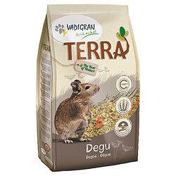 Vadigran - Aliments Terra pour Dègue - 2,25Kg 