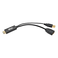 Avis Tripp Lite P130-06N-DP-V2 video cable adapter