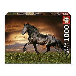 Educa Borras CHEVAL AU TROT - Puzzle de 1000 pieces 