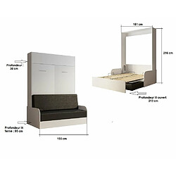 Acheter Inside 75 Armoire lit escamotable DYNAMO SOFA accoudoirs façade blanc brillant canapé anthracite 140*200 cm