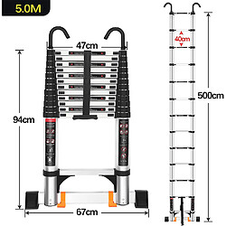 Avis Échelle Télescopique, Échelles Télescopiques Aluminium avec 2 Crochets Amovibles - 5M