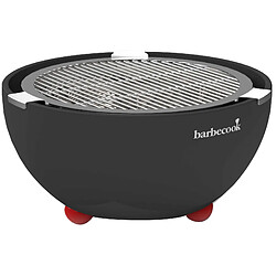 Barbecue charbon de bois barbecook