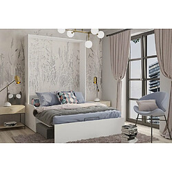 Avis Inside 75 Armoire lit escamotable DYNAMO SOFA canapé accoudoirs blanc mat et microfibre gris 160*200 cm