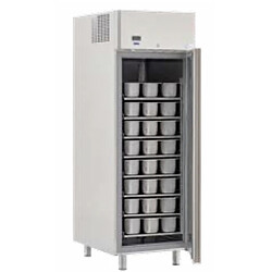 Armoire Réfrigérée Négative à Glace GLT 700 - 650 Litres - Crystal 