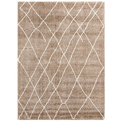 Hadorn Tapis shaggy 185x125 brun Lachen Fence