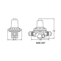 Watts Industries Réducteur de pression REDUPRESS 3/4 MM - WATTS - 81015