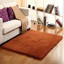 LUUCOZK Tapis moelleux en fausse fourrure Tapis à poils longs pour chambre à coucher Salon-Café-100x160cm