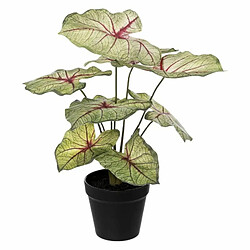 Plante Artificielle en Pot Caladium 41cm Vert Clair