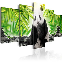 Decoshop26 Tableau toile de décoration murale impression premium en 5 parties sur châssis en bois motif Doux petit panda 100x50 cm 11_0014991 