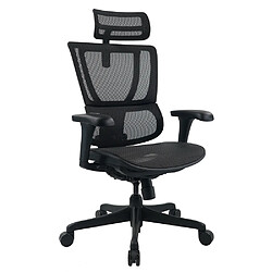 Siège de direction de luxe ERGOHUMAN SLIM ECO M GEN2 Noir hjh OFFICE