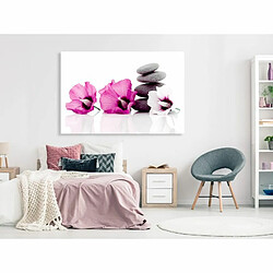 Paris Prix Tableau Imprimé Calm Mallow Wide Pink 60 x 90 cm