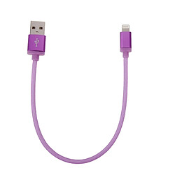 Wewoo Câble Violet pour iPhone X / 8 & 8 Plus / 7 & 7 Plus / 6 & 6s & 6 Plus & 6s Plus / 5 & 5S & SE & 5C / iPad 25cm Net Style tête en métal Lightning à USB données / de chargeur,