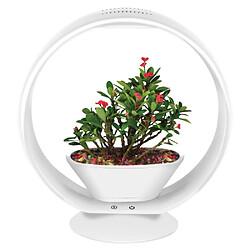 Acheter Jardinice Lampe LED ludique avec jardinière intégrée et enceinte bluetooth 25 LED.