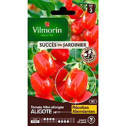 Graines Tomate Aligote VILMORIN